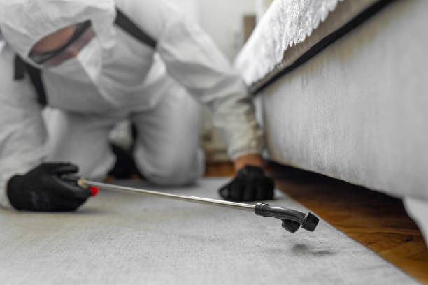 Professional Termite Control technician working in Lansdowne, MD